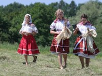 devcata koseni 8