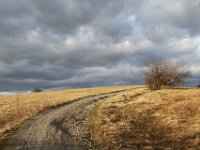 javorina hore  cesta k Javořině