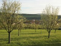 velka zahrady  sady na Velkou nad Veličkou